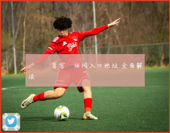 開雲體育官網访问入口地址 全面解读