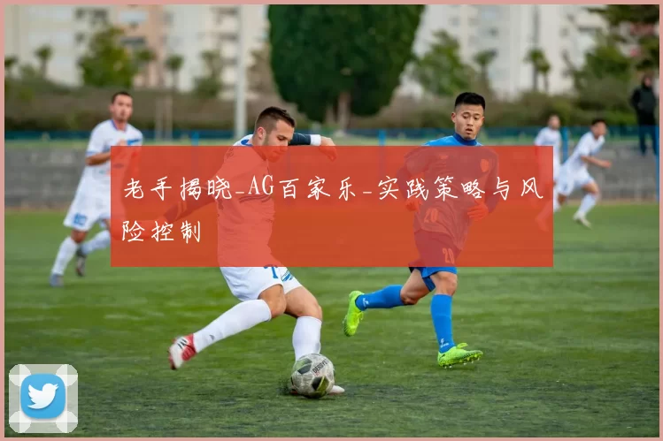 老手揭晓_AG百家乐_实践策略与风险控制